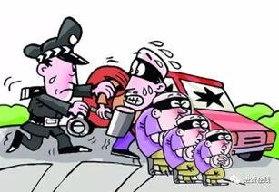 进贤盗窃学生爆料案件最新,警方全力追查，受害者发声揭露真相