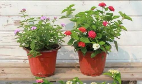 爆料睢宁古墓视频最新,神秘历史宝藏重现世间 第2张 爆料睢宁古墓视频最新,神秘历史宝藏重现世间 第2张