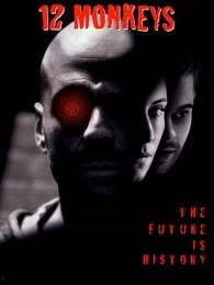 12只猴子电影在线观看,穿越时空的救赎之旅  第2张