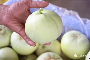 网红田心三水吃瓜,幕后真相与娱乐众生相 第3张 网红田心三水吃瓜,幕后真相与娱乐众生相 第3张